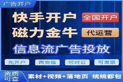 百度SEO推广案例解析与效果评估